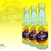 Samuel Willard's - Saint James Gin Spirit Essence